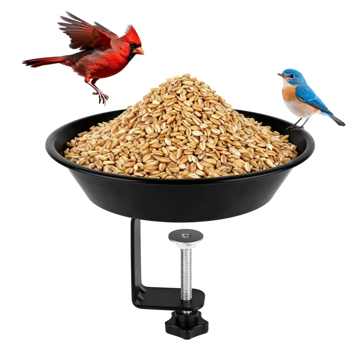 Balcony-Mounted Seed Tray — Black