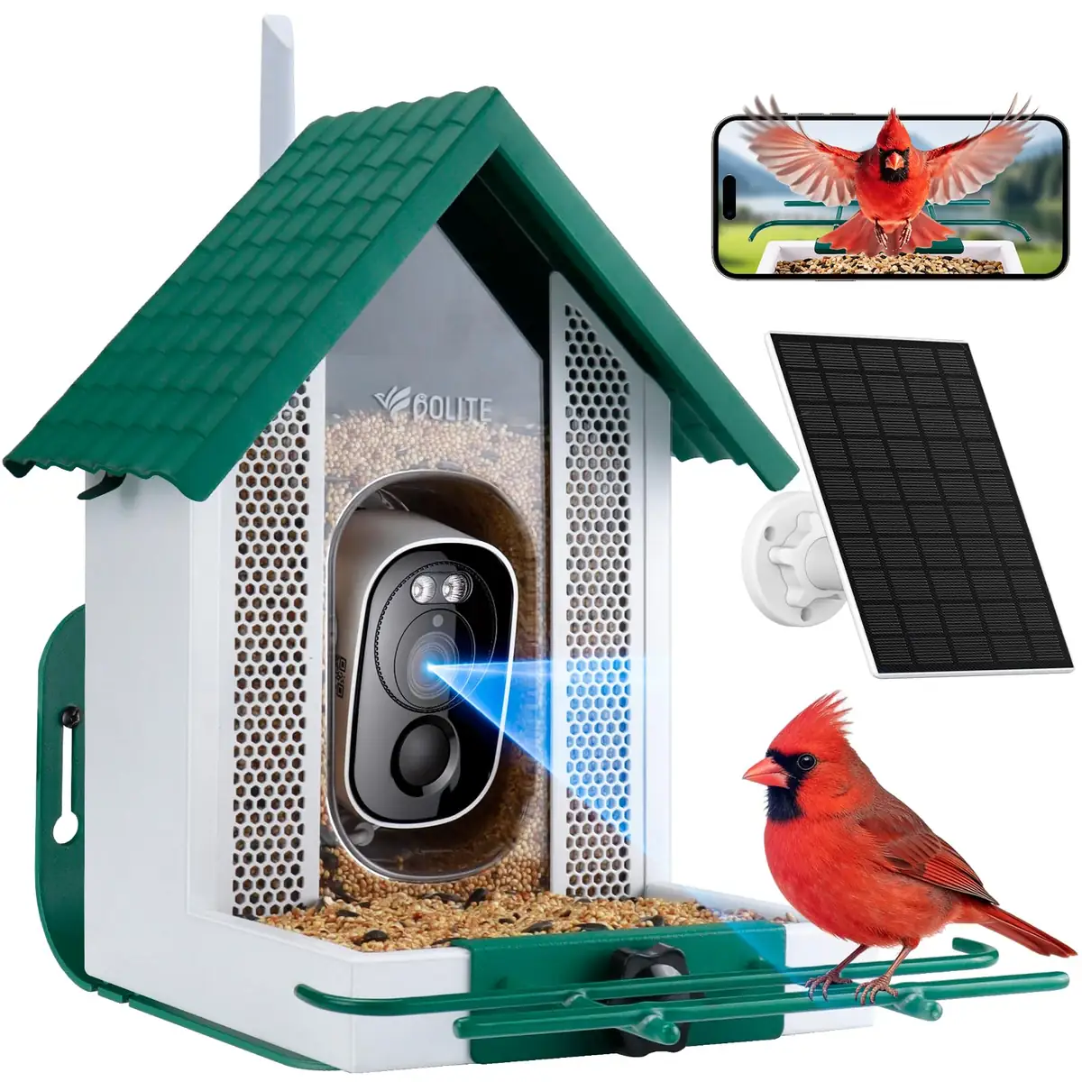 2.5K Smart Bird Feeder Camera — Green